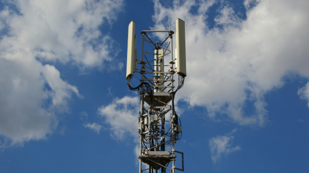 EMF Exposure and the Antioxidant Defense System